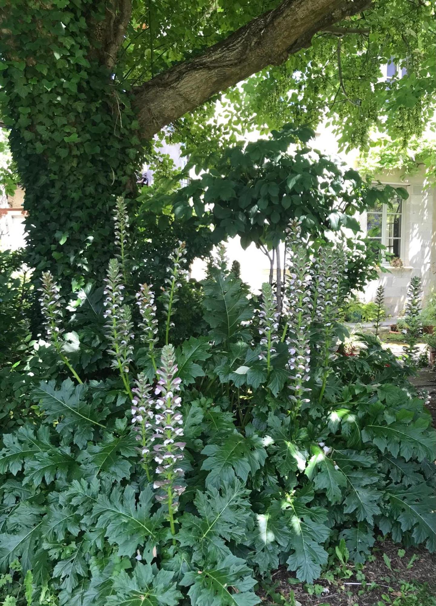 La Maison Ancienne Eymet住宿加早餐旅馆 外观 照片