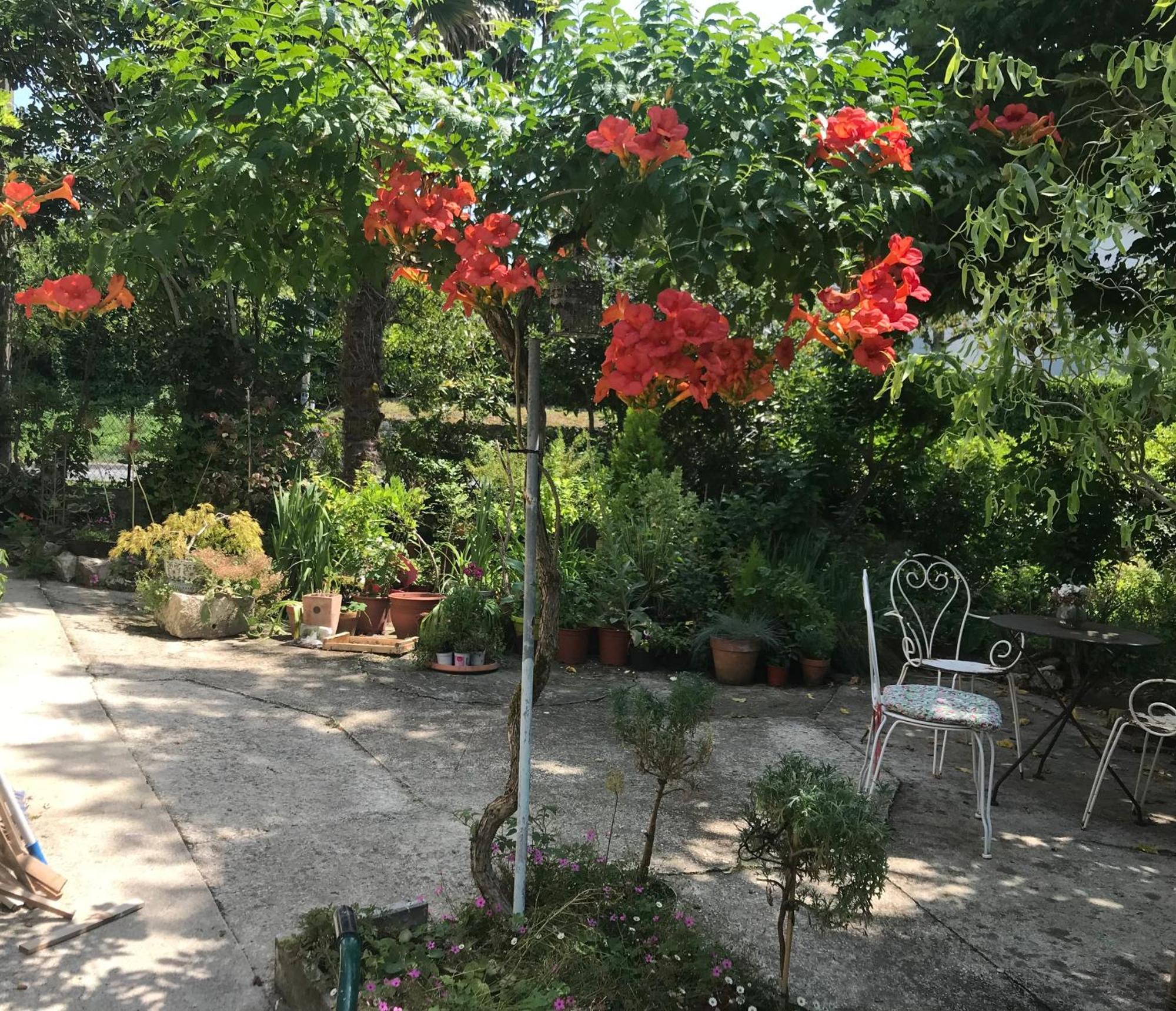 La Maison Ancienne Eymet住宿加早餐旅馆 外观 照片