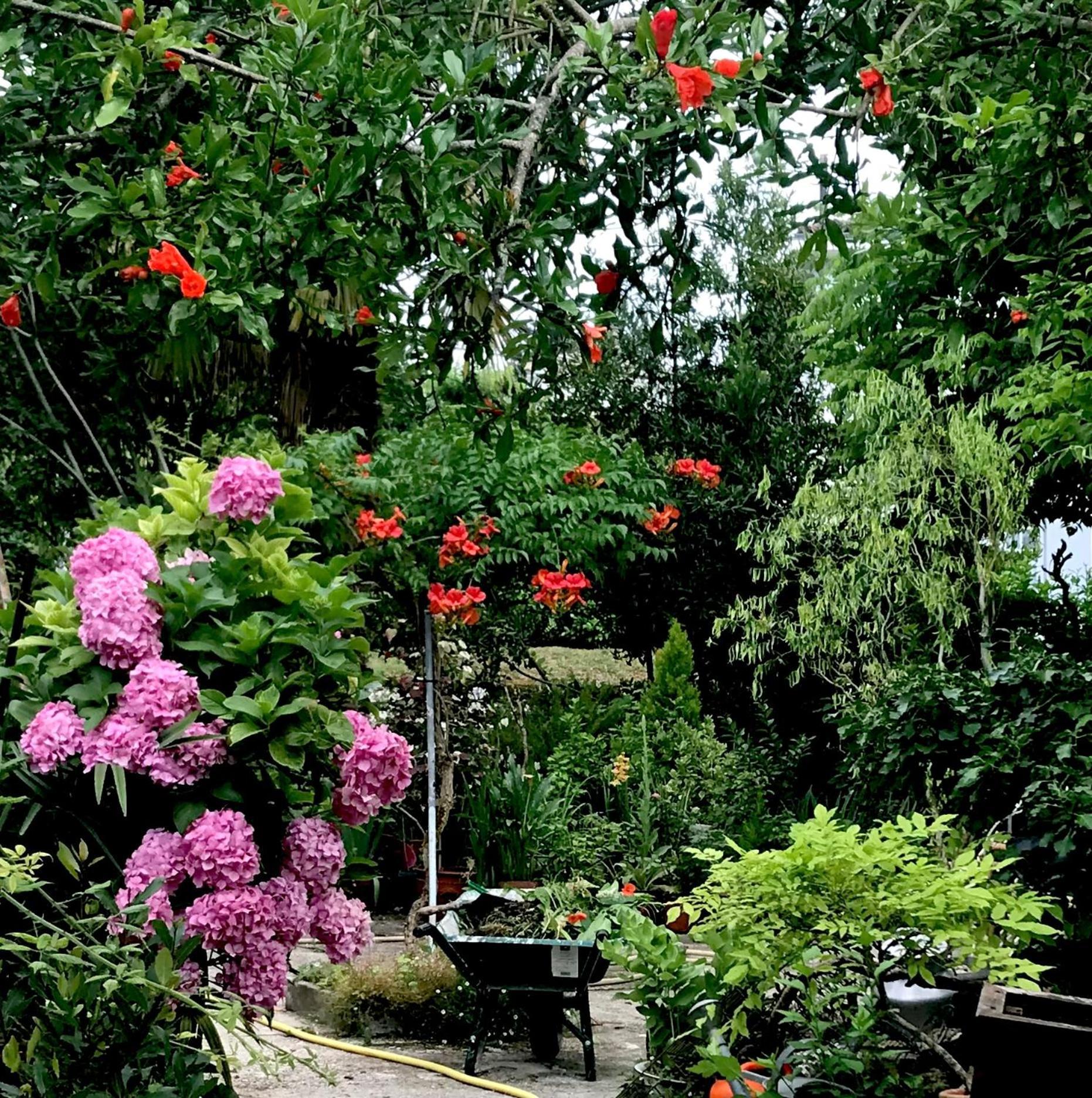 La Maison Ancienne Eymet住宿加早餐旅馆 外观 照片